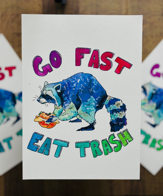 Raccoon Watercolour Print