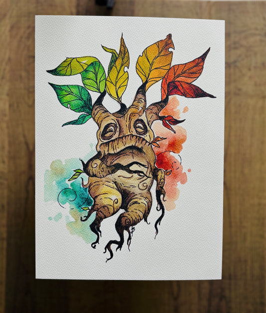 Mandrake Watercolour Print